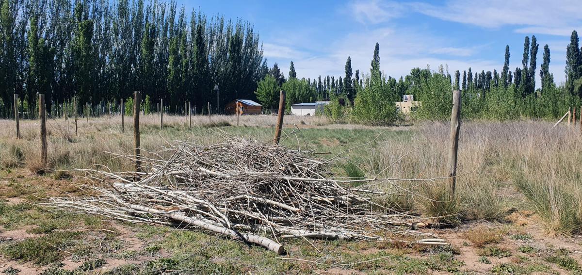 Terreno 565 m² en Camino del Sol Plottier 1