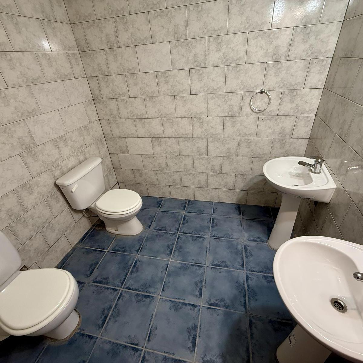 Casa con Salones y Predio de 2500 m² Calle Roca Plottier 2