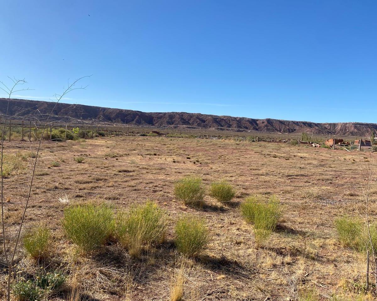 Terreno 4800 m² Calle Roca Plottier 5