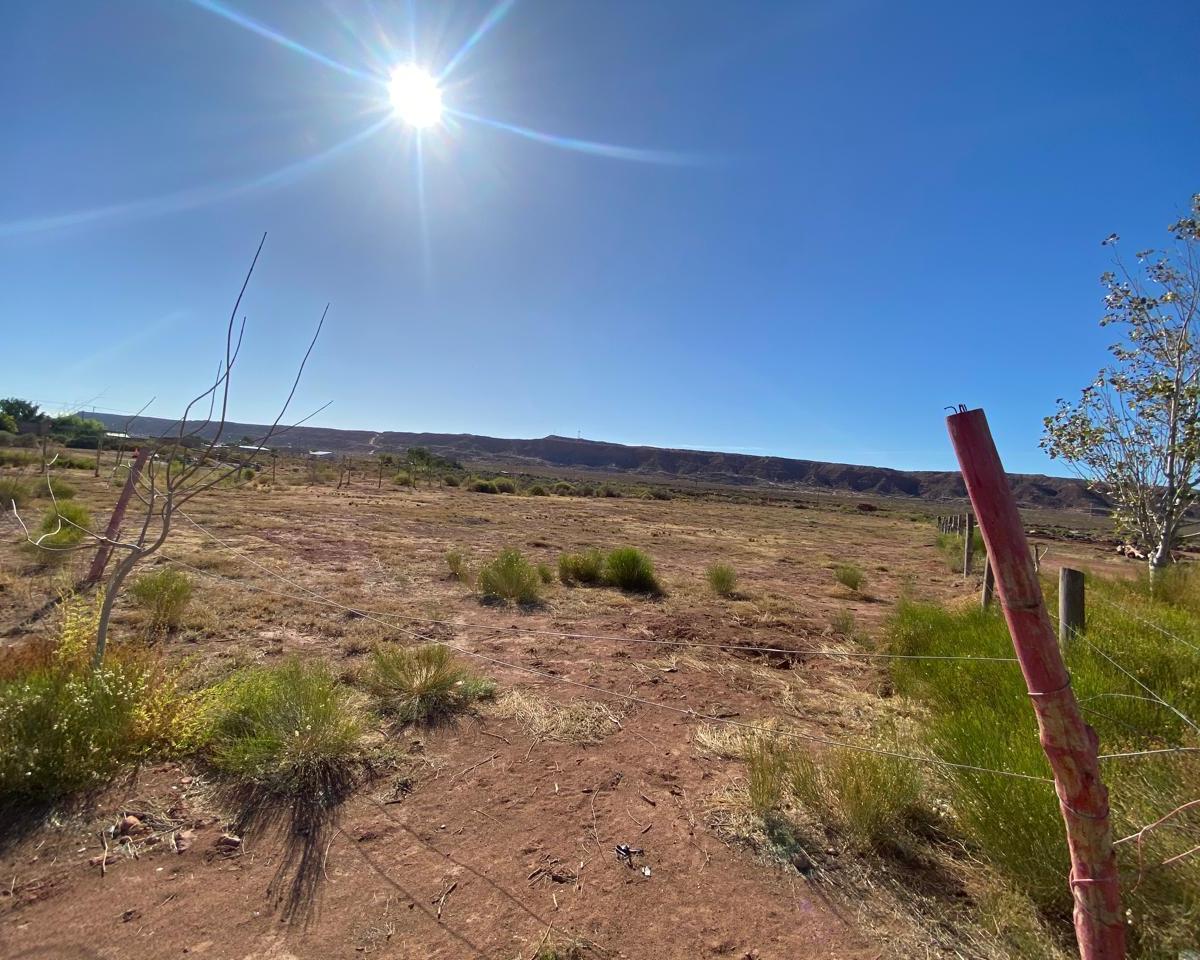 Terreno 4800 m² Calle Roca Plottier 4