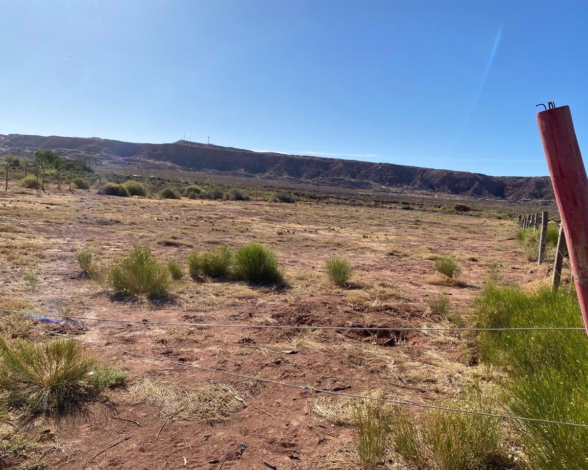Terreno 4800 m² Calle Roca Plottier 3