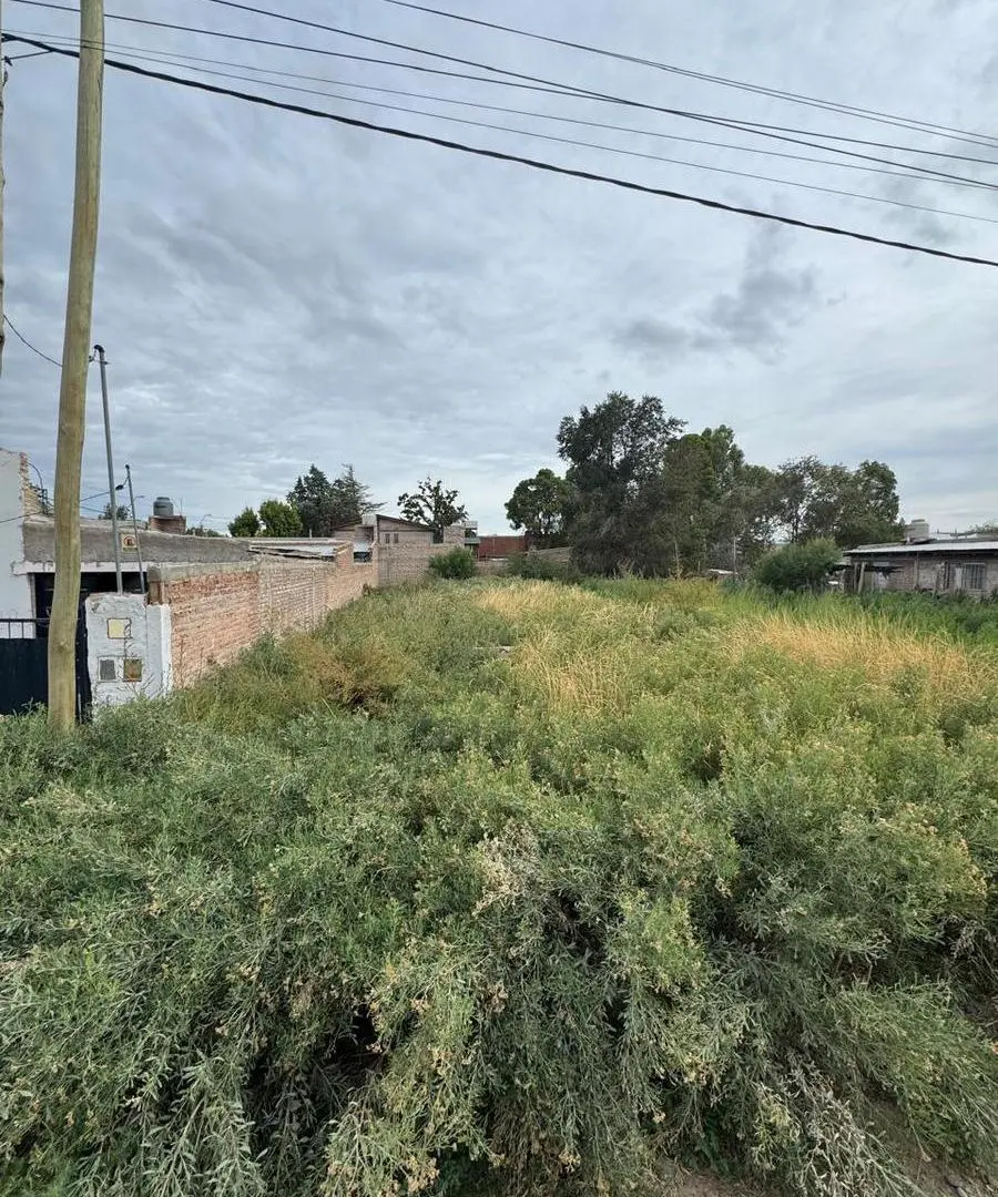 Terreno en General Roca 2