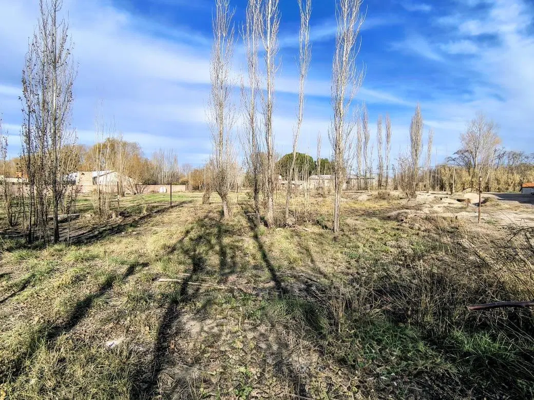 Terreno en General Fernandez Oro 8