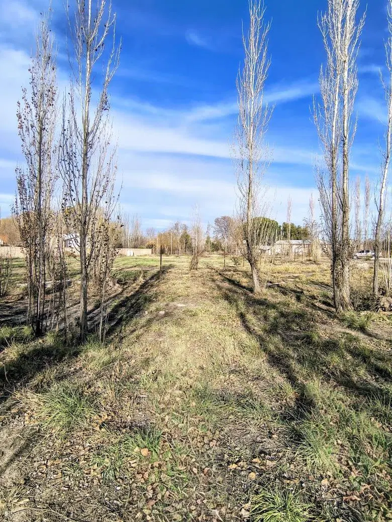 Terreno en General Fernandez Oro 5