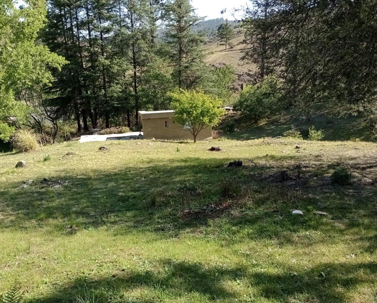 Vende Campo 10ha C/casa + Dpto P/casero, El Durazno, Yacanto de Calamuchita 4