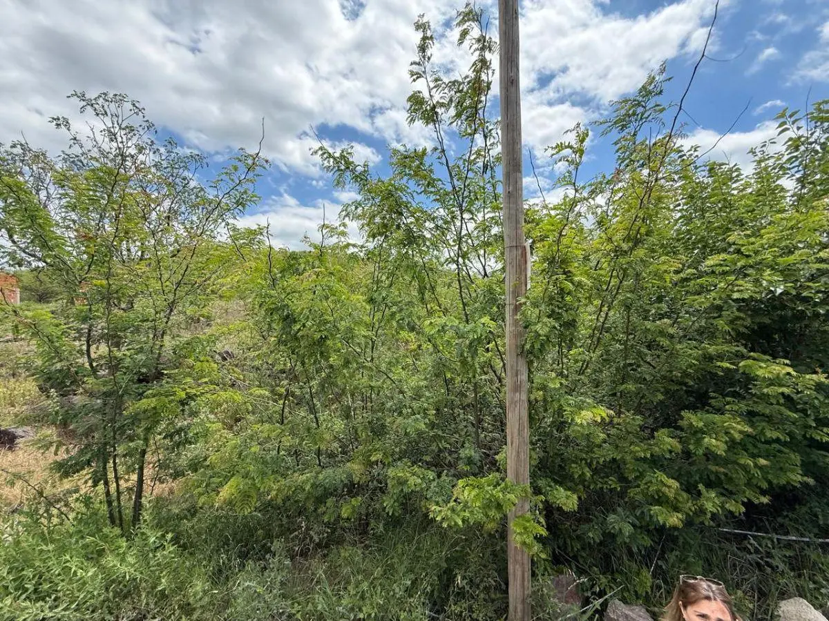 VENDO LOTE EN LA CALERA 380M2 - AGUA, LUZ, GAS NATURAL 4