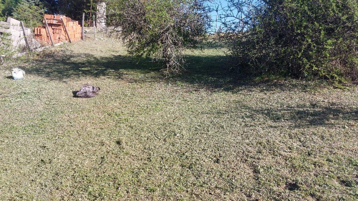 Foto de VENDO - Lote en Potrero de Garay, 1000m2 agua y luz, vista a las, imagen 1