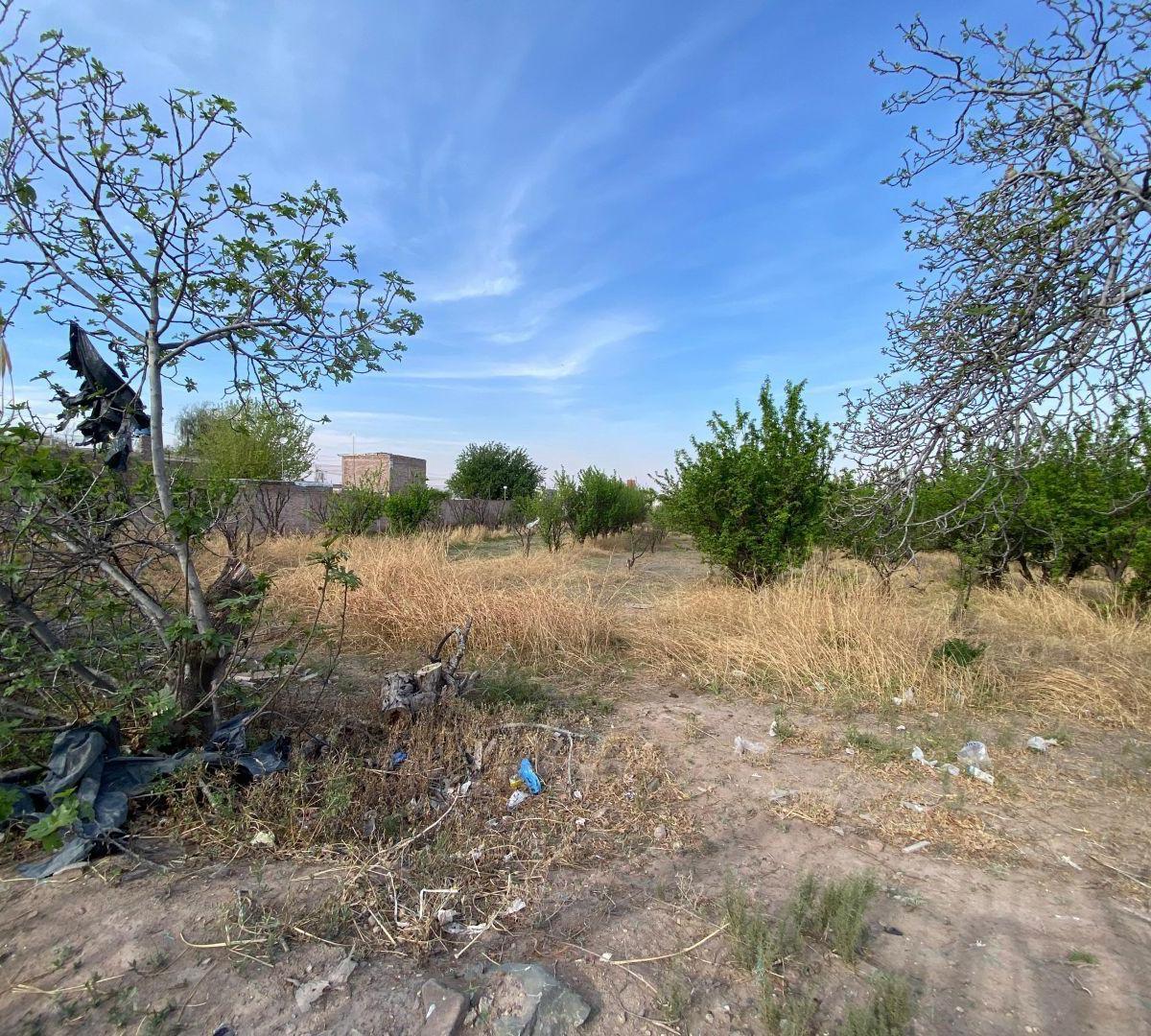 Lote. | Boulogne Sur Mer Al 2000 5