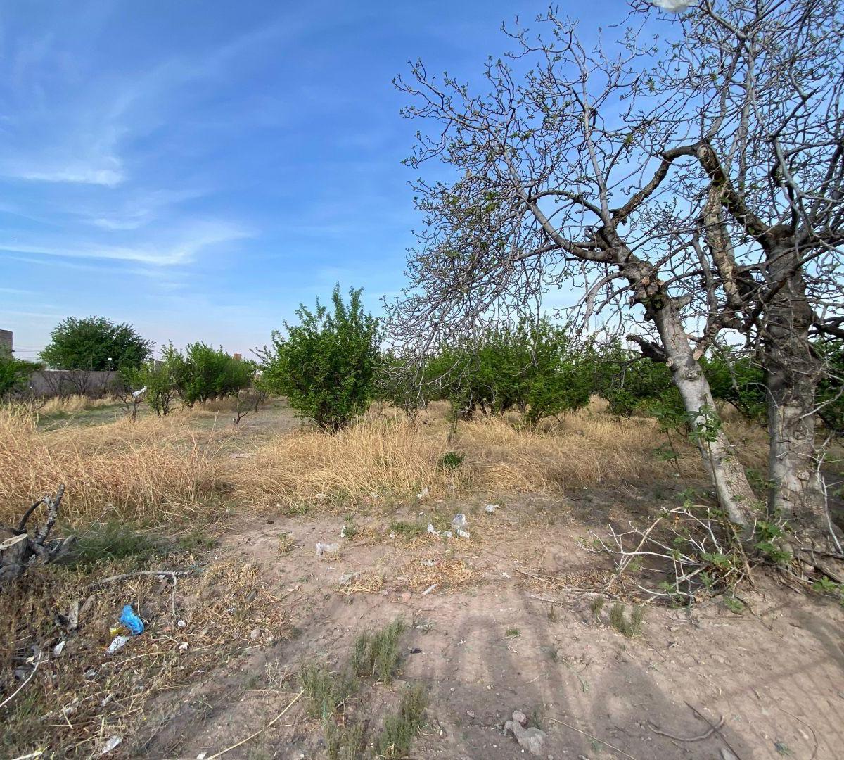 Lote. | Boulogne Sur Mer Al 2000 2