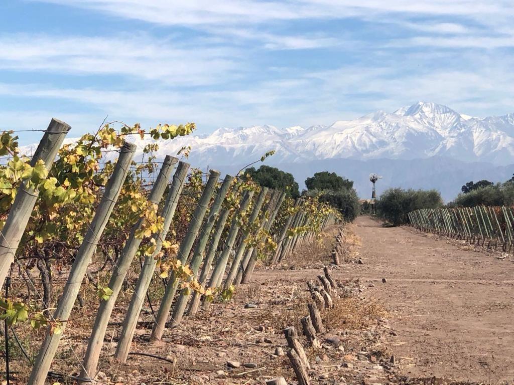 Lote. | Azcuénaga Al 1000 3