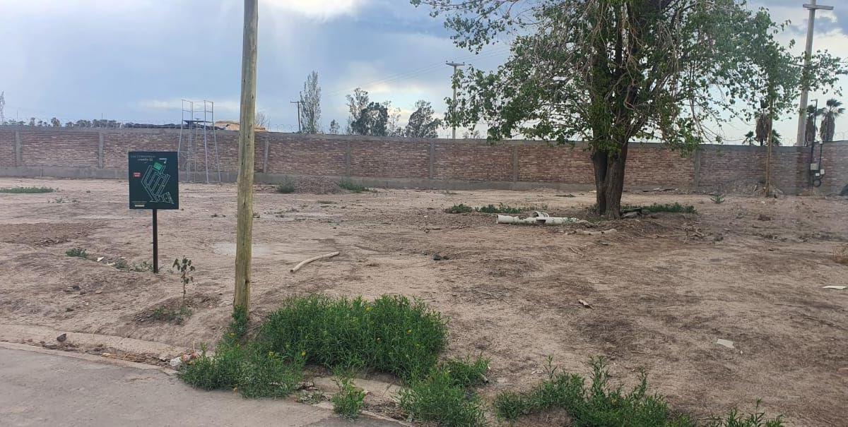 Lote. | Severo del Castillo 3