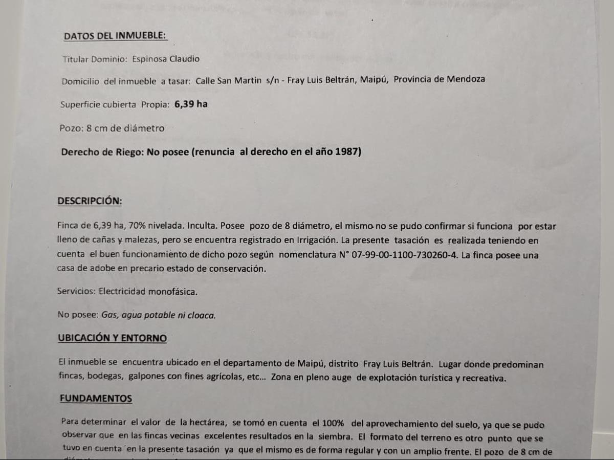 Venta Finca en Calle San Martin S/n Fray Luis Beltran – Maipu - Mendoza 5
