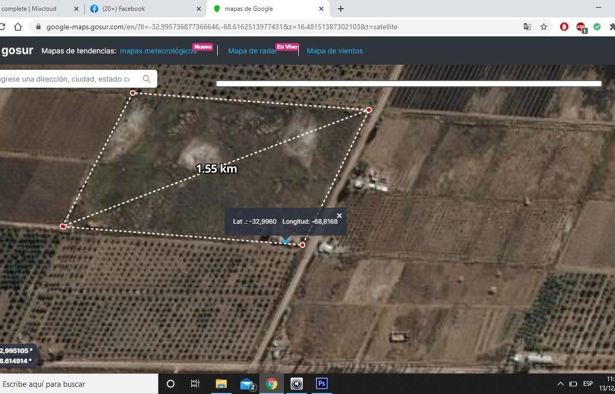 Venta Finca en Calle San Martin S/n Fray Luis Beltran – Maipu - Mendoza 3