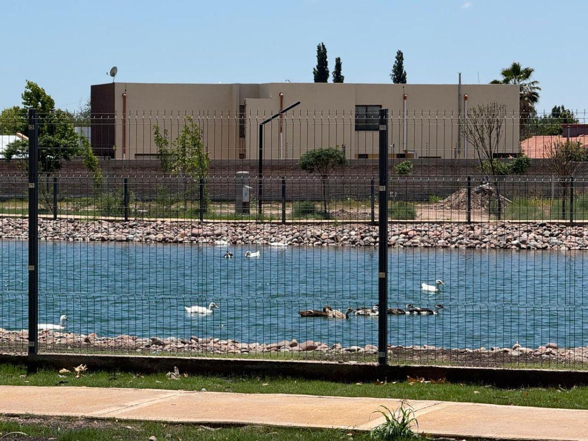 Foto de LOTE EN VENTA BARRIO PRIVADO QUATTRO VIAMONTE, CHACRAS DE CORIA, LUJAN, imagen 4