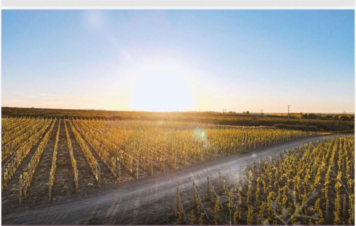 Foto de LOTE EN VENTA, ESTANCIA EL CARAMILLO, LUJAN DE CUYO, imagen 1