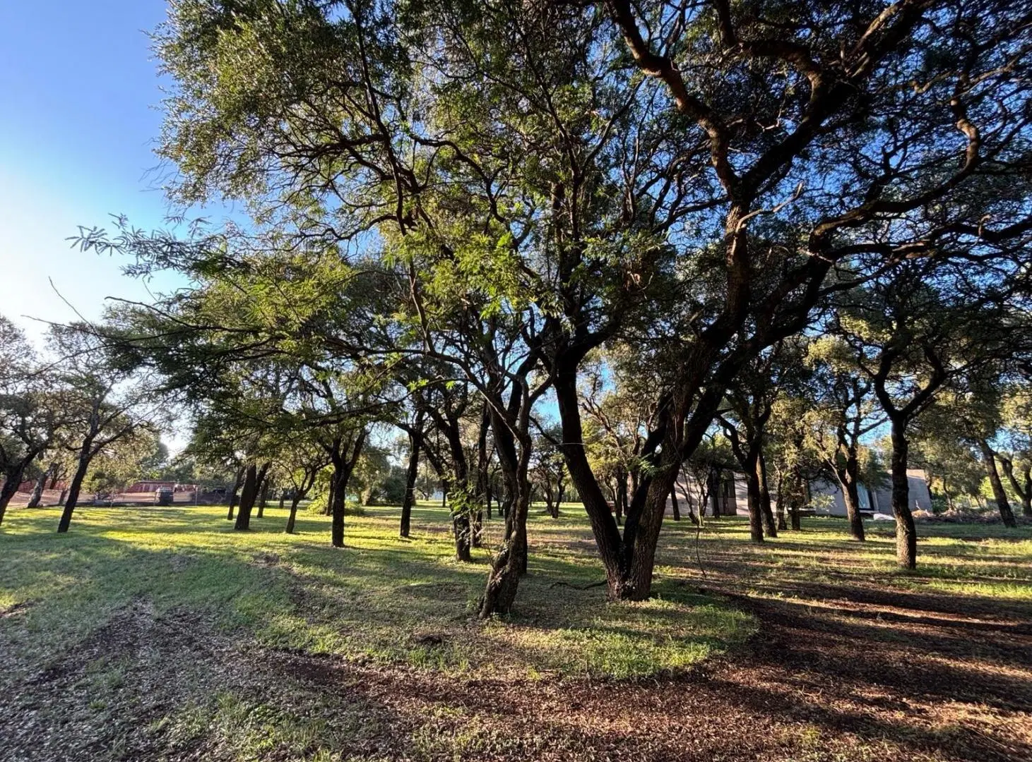 Terreno en Causana 2000mts - Lote central 2