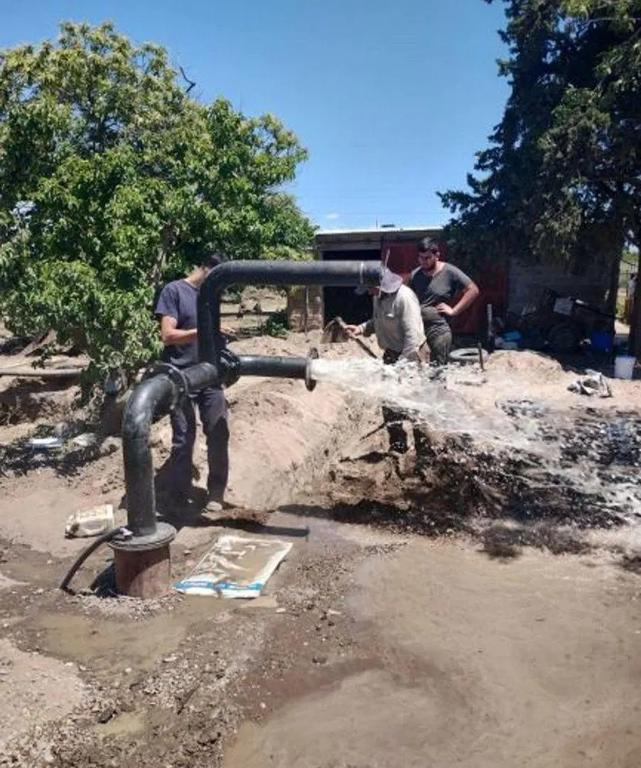 VENTE DE FINCA 25 HECTAREAS CAMPO VIDAL TUPUNGATO 4