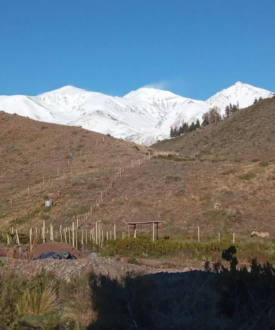 Cabaña con terreno de 9000 mts en Potrerillos 5