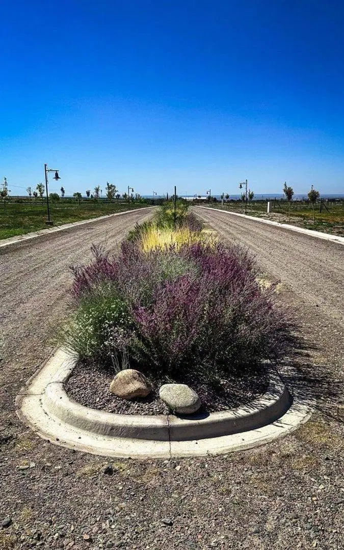 VENTA LOTE TUPUNGATO VALLEY BARRIO PRIVADO  1000m 3