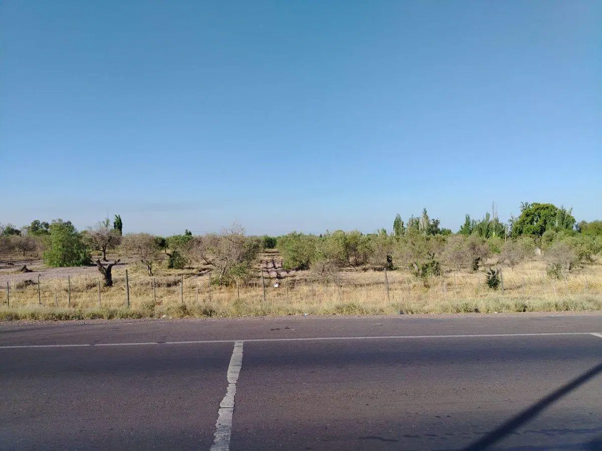 LOTE EN VENTA 2