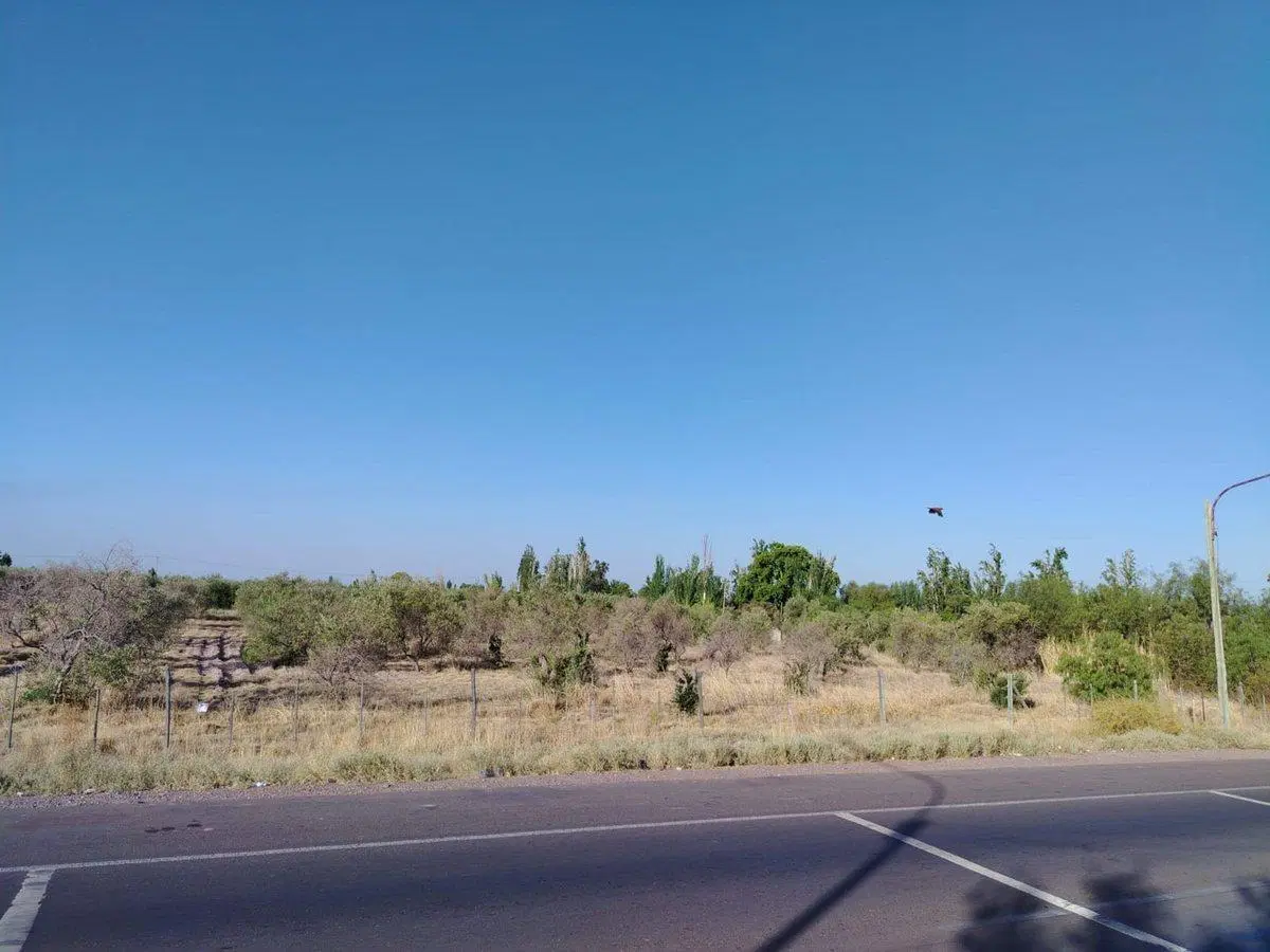 LOTE EN VENTA 4