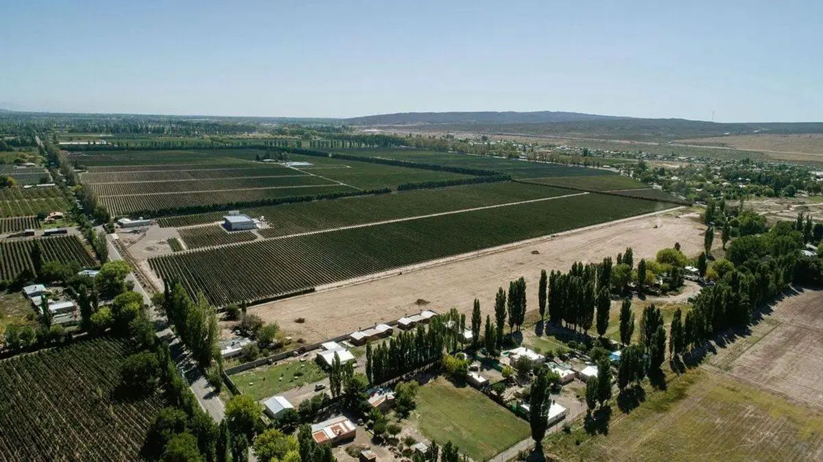 LOTE EN VENTA - MAIPÚ 4