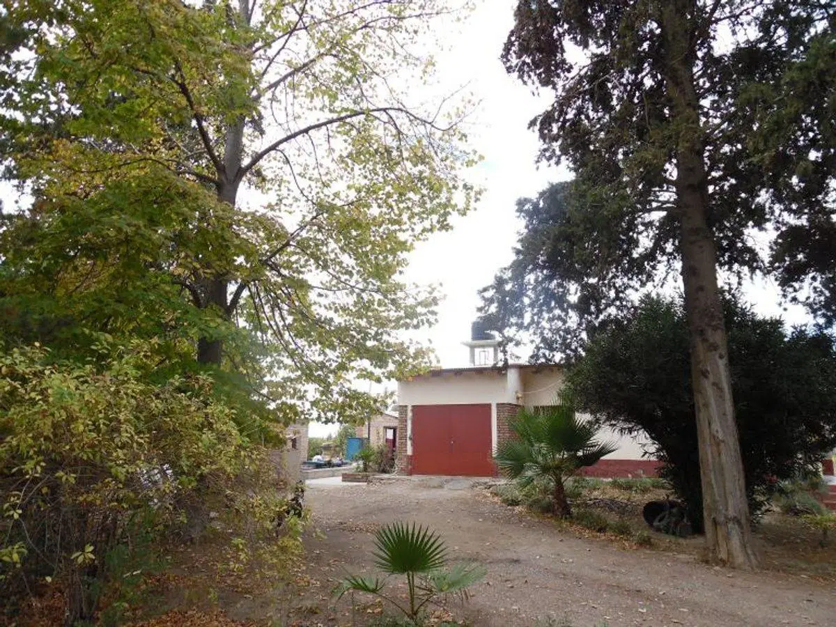 VENTE DE FINCA 25 HECTAREAS CAMPO VIDAL TUPUNGATO 4