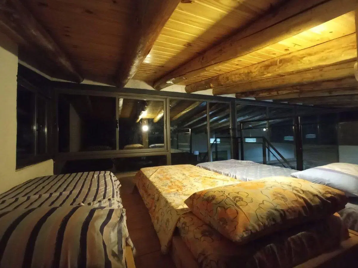 Cabaña con terreno de 9000 mts en Potrerillos 3
