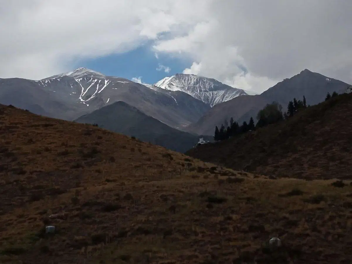 Cabaña con terreno de 9000 mts en Potrerillos 4