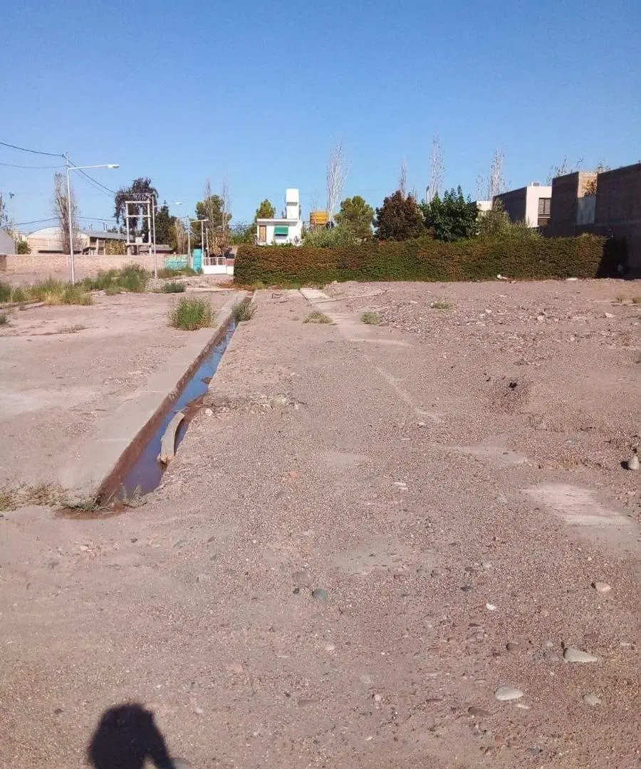 LOTE UBICADO EN EL DISTRITO DE LAS CAÑAS 260 m2 6