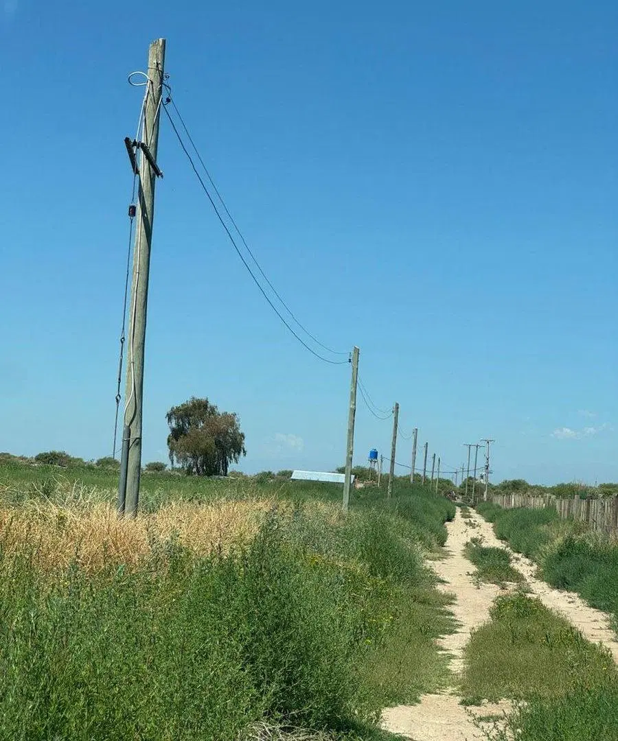 VENTA FINCA 120 HECTÁREAS  CARRIZAL LUJAN DE CUYO 2