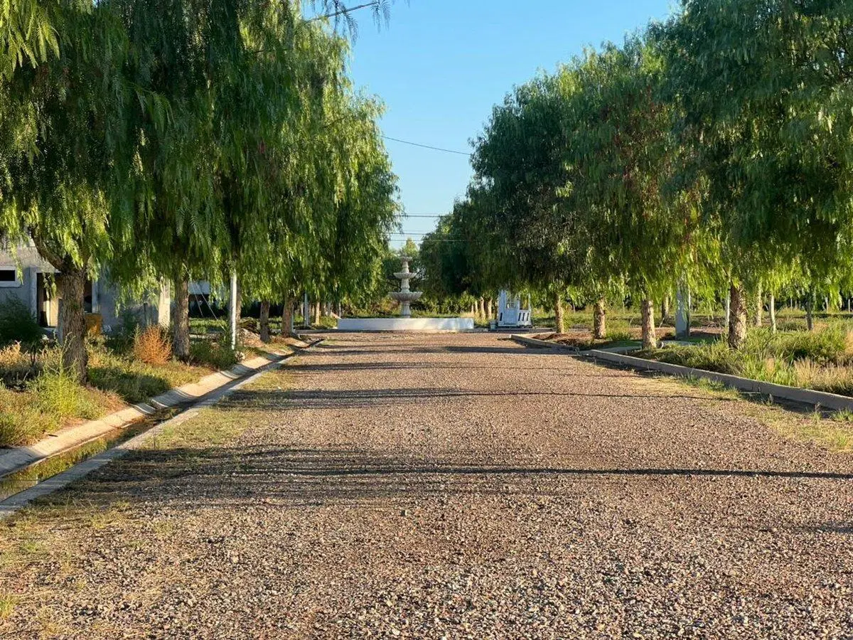 Venta Terreno Guaymallen Segovia Barrio Privado 4