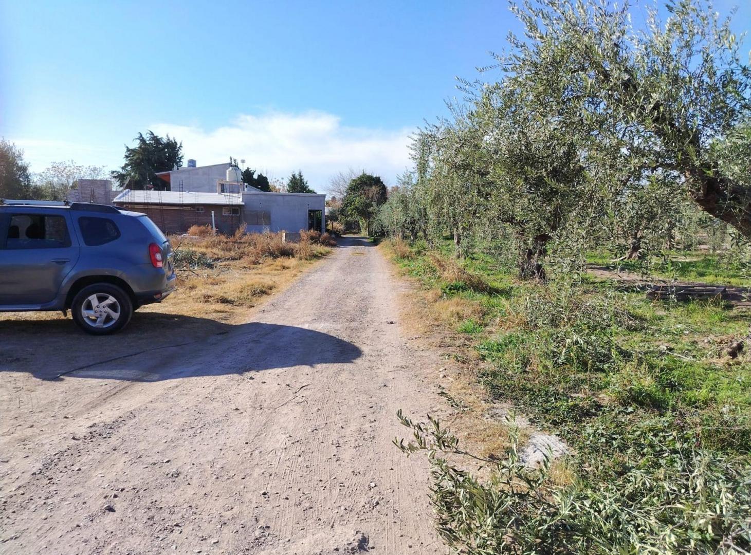 Foto de VENTA DE LOTE 500 M2, CALLE LAPRIDA RUSSELL, imagen 3