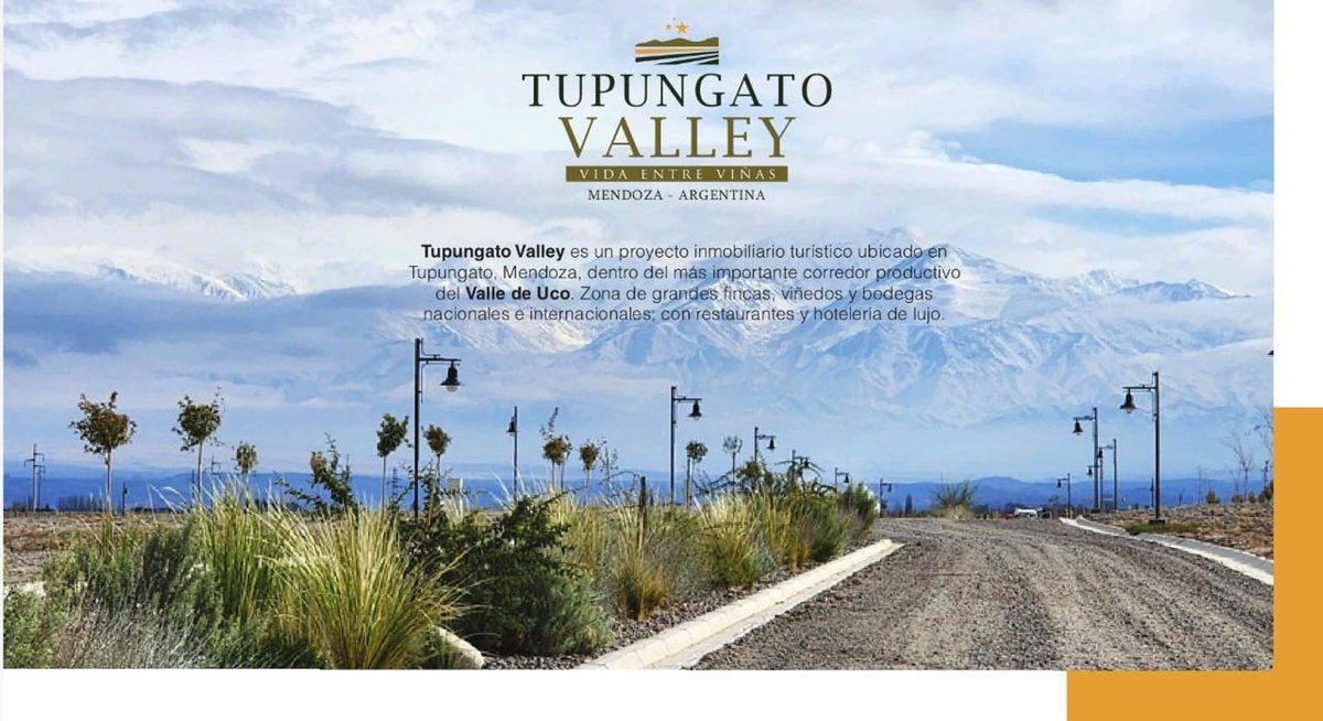 Foto de Lote de 3000 mts2 en Tupungato Valley, imagen 1