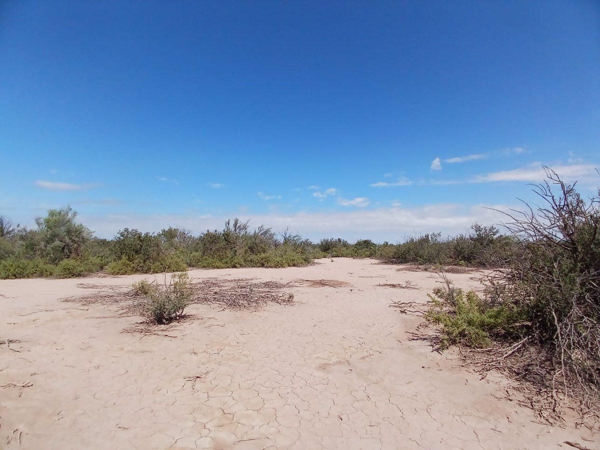 Foto de VENTA TERRENO 10 HECTARIAS LAVALLE, imagen 1