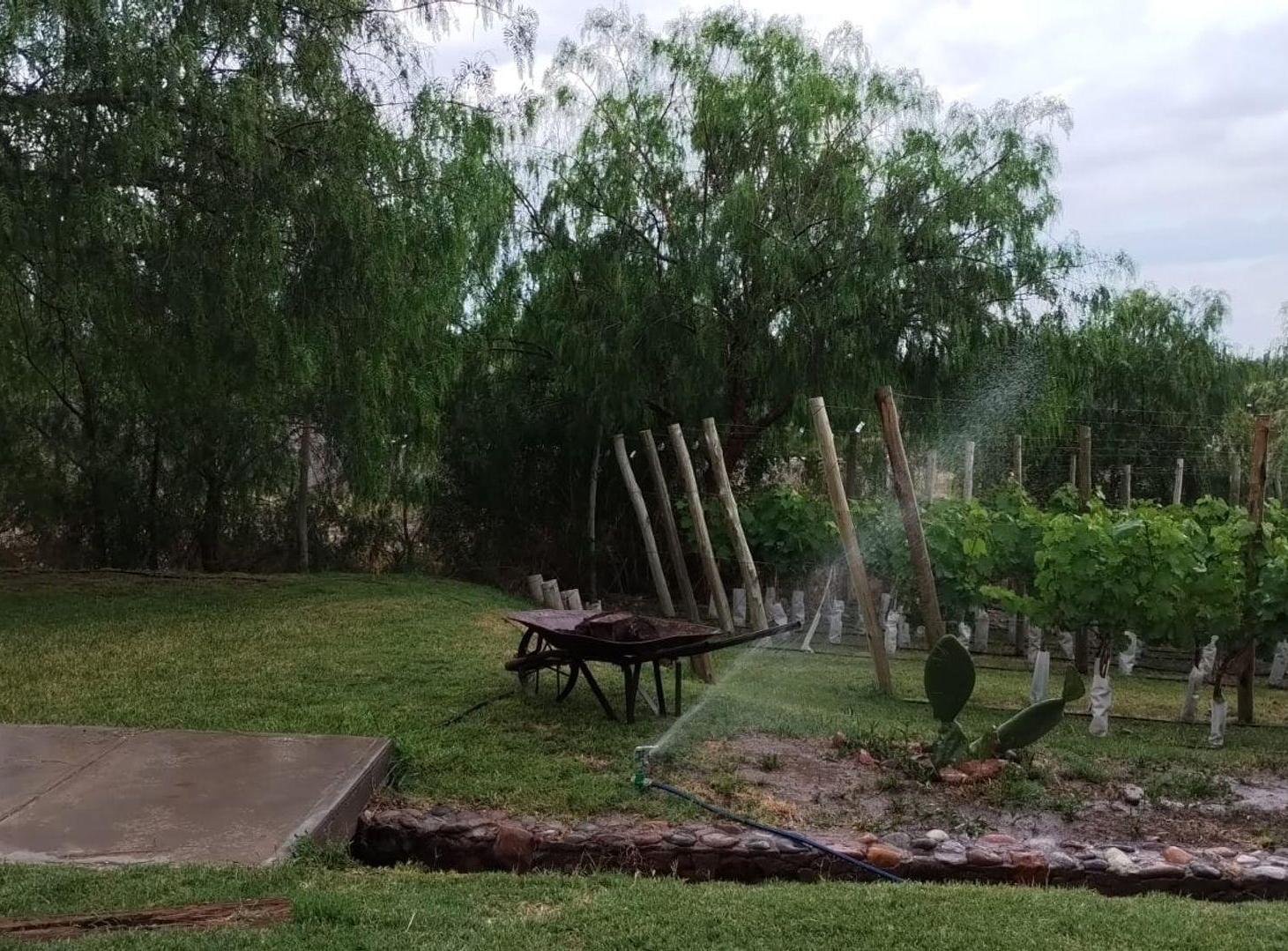 Foto de CASA EN VENTA 2 DORM PILETA VIÑEDO PERDRIEL LUJAN, imagen 5