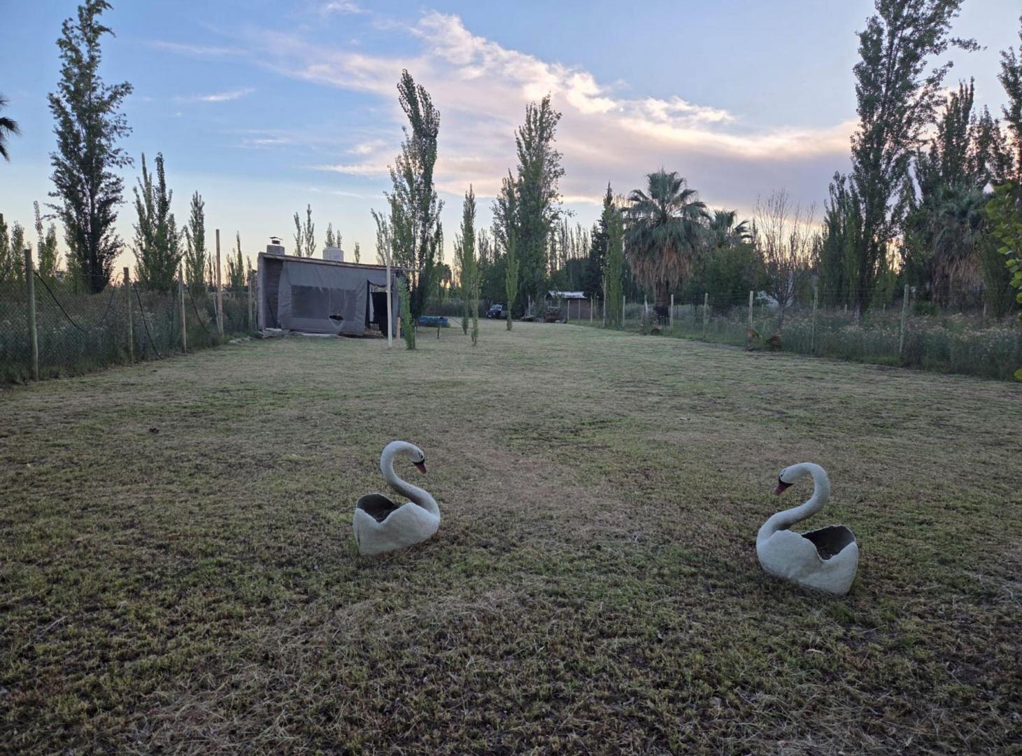 Foto de VENTA LOTE c/QUINCHO EN LOS CORRALITOS-GLLEN., imagen 2