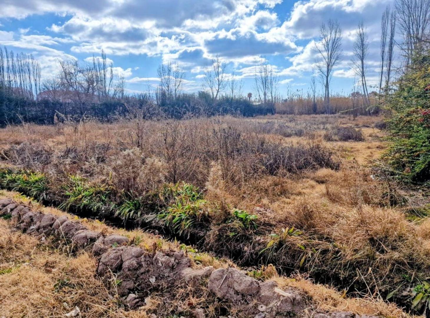 Foto de Terreno en venta Lujan de Cuyo, imagen 2