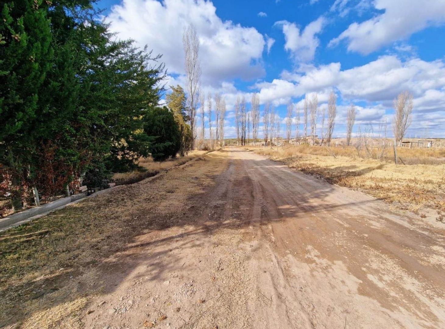 Foto de Terreno en venta Lujan de Cuyo, imagen 4
