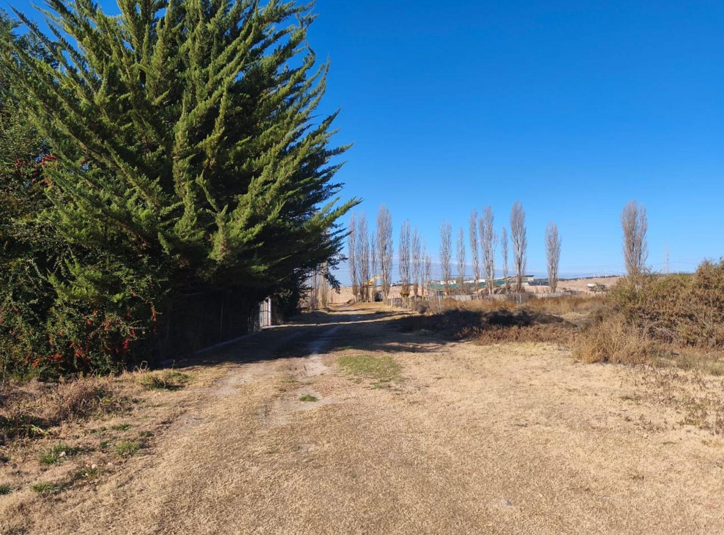 Foto de Terreno en venta Lujan de Cuyo, imagen 5