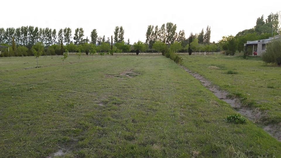 Lotes de 2000 m - Rama Caida 3