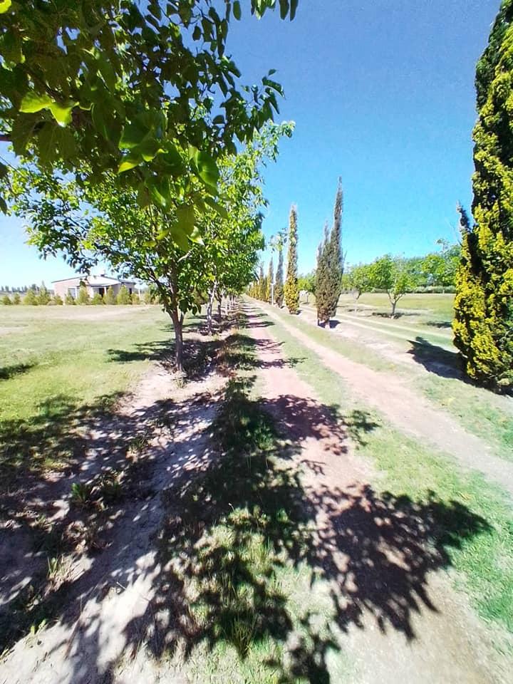 Lotes de 2000 m - Rama Caida 1