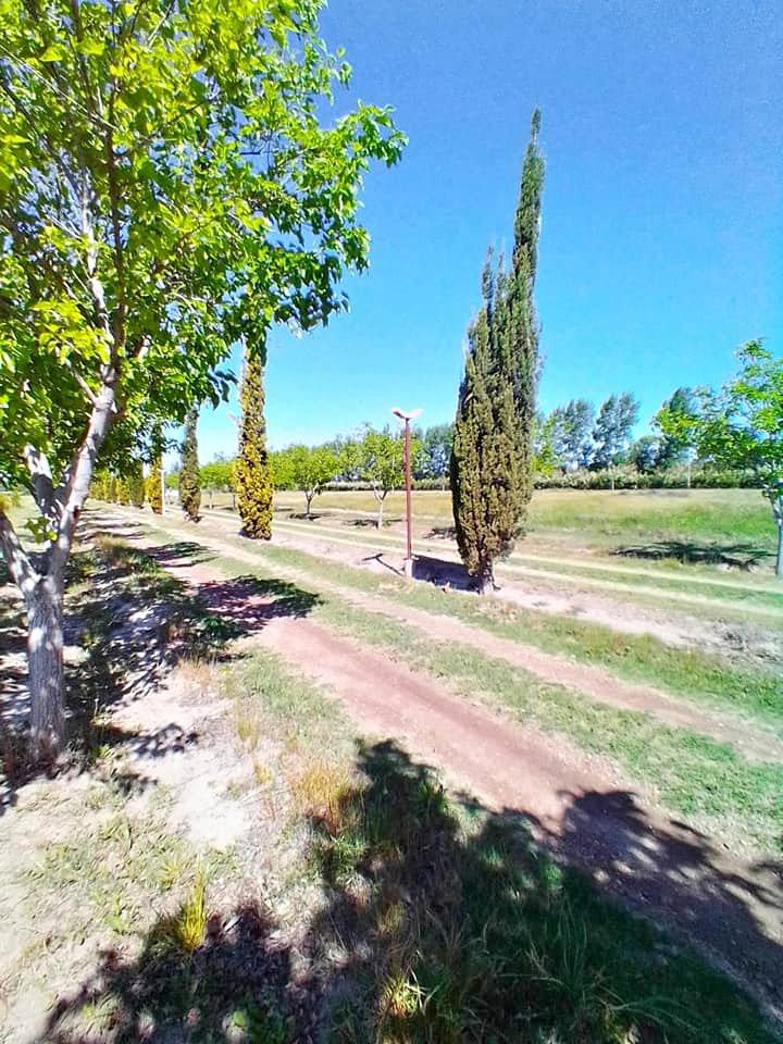Lotes de 2000 m - Rama Caida 5