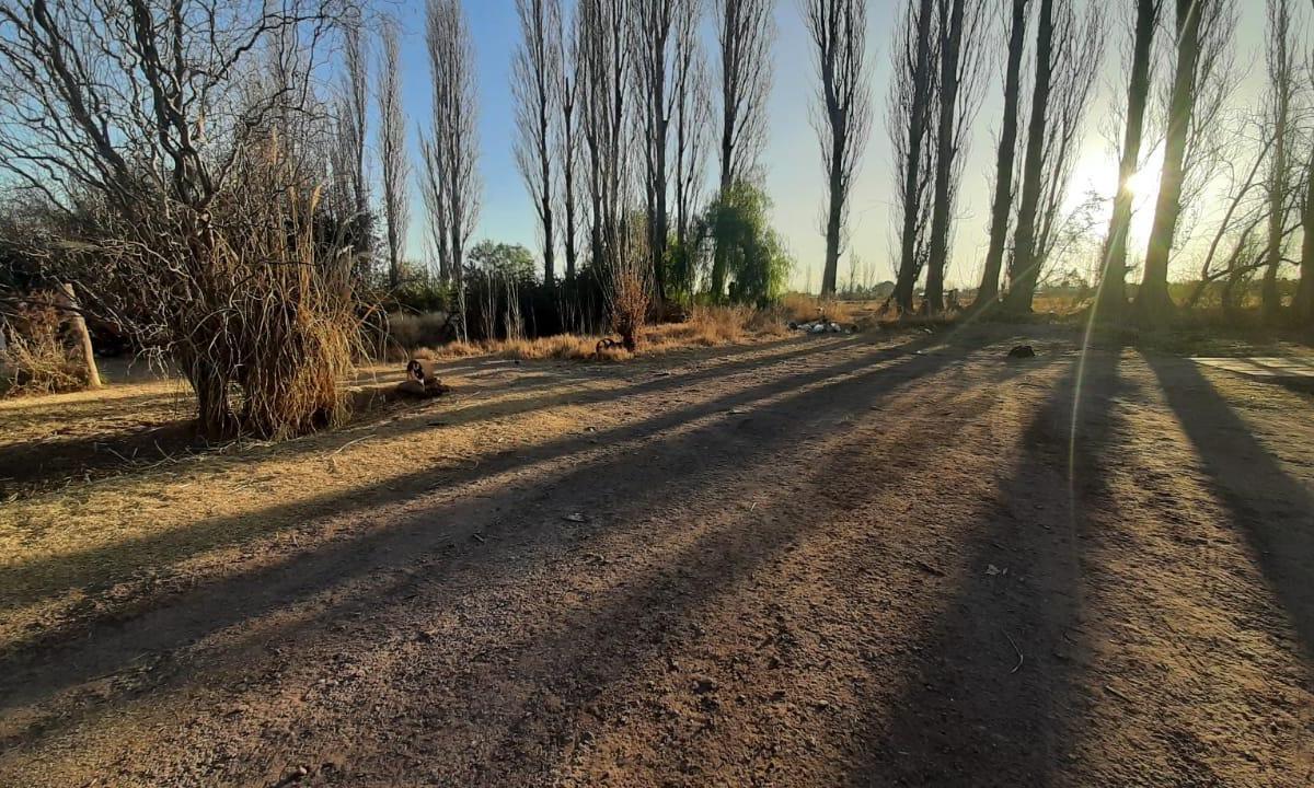 Casa - San Rafael - Mendoza 4