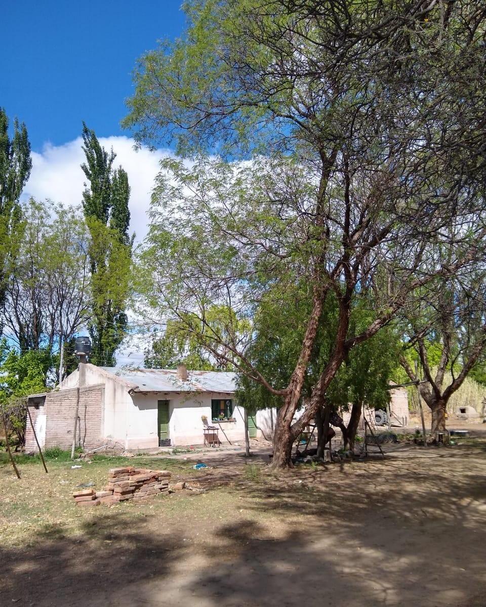 Finca de 17 Ha con Casa, san Rafael Mendoza 1