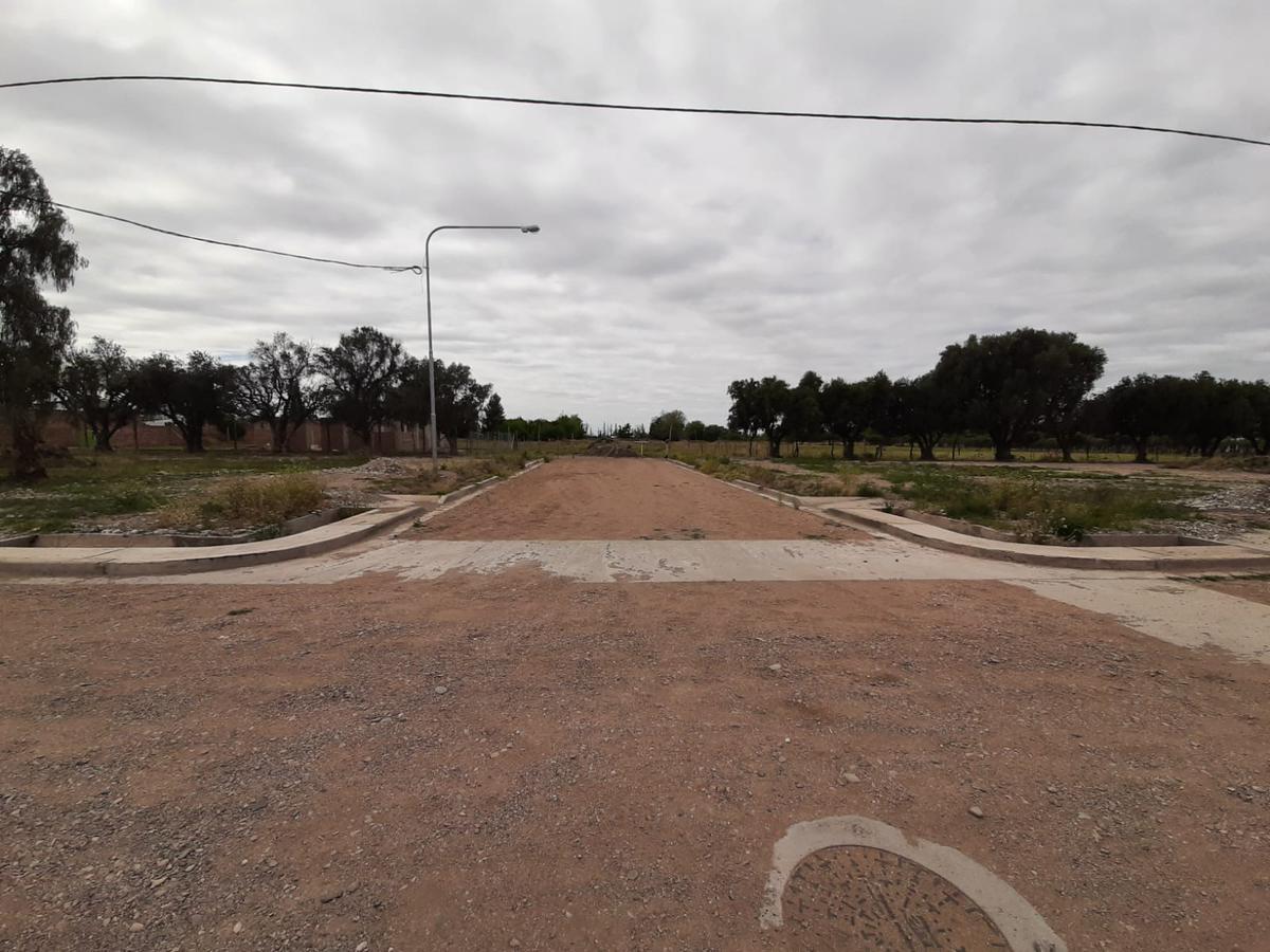 Proyecto de Loteo en San Rafael Mendoza 2