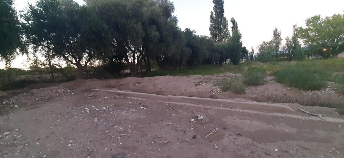 Proyecto de Loteo en San Rafael Mendoza 4