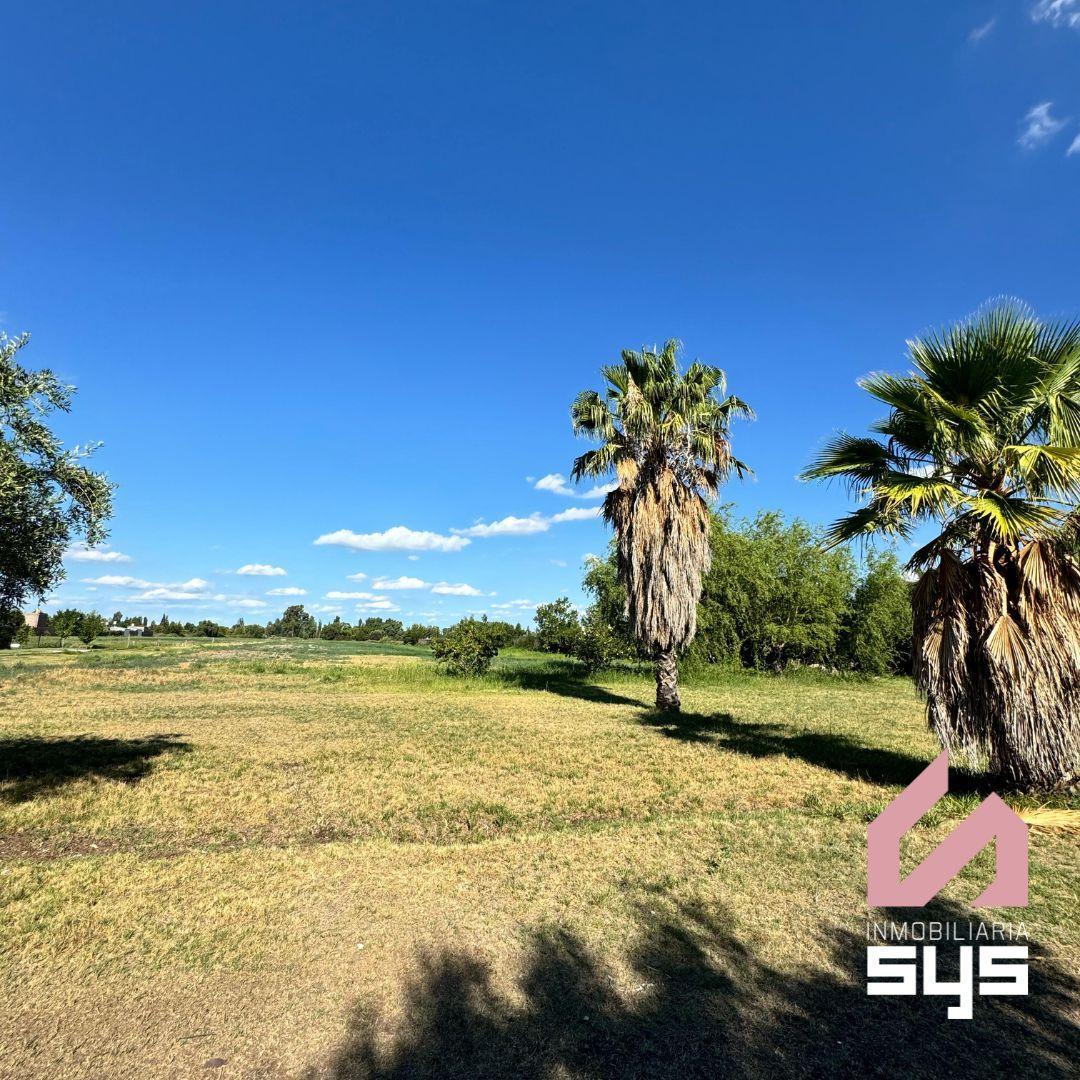 Lotes con Financiacion Propia - San Rafael Mendoza 4