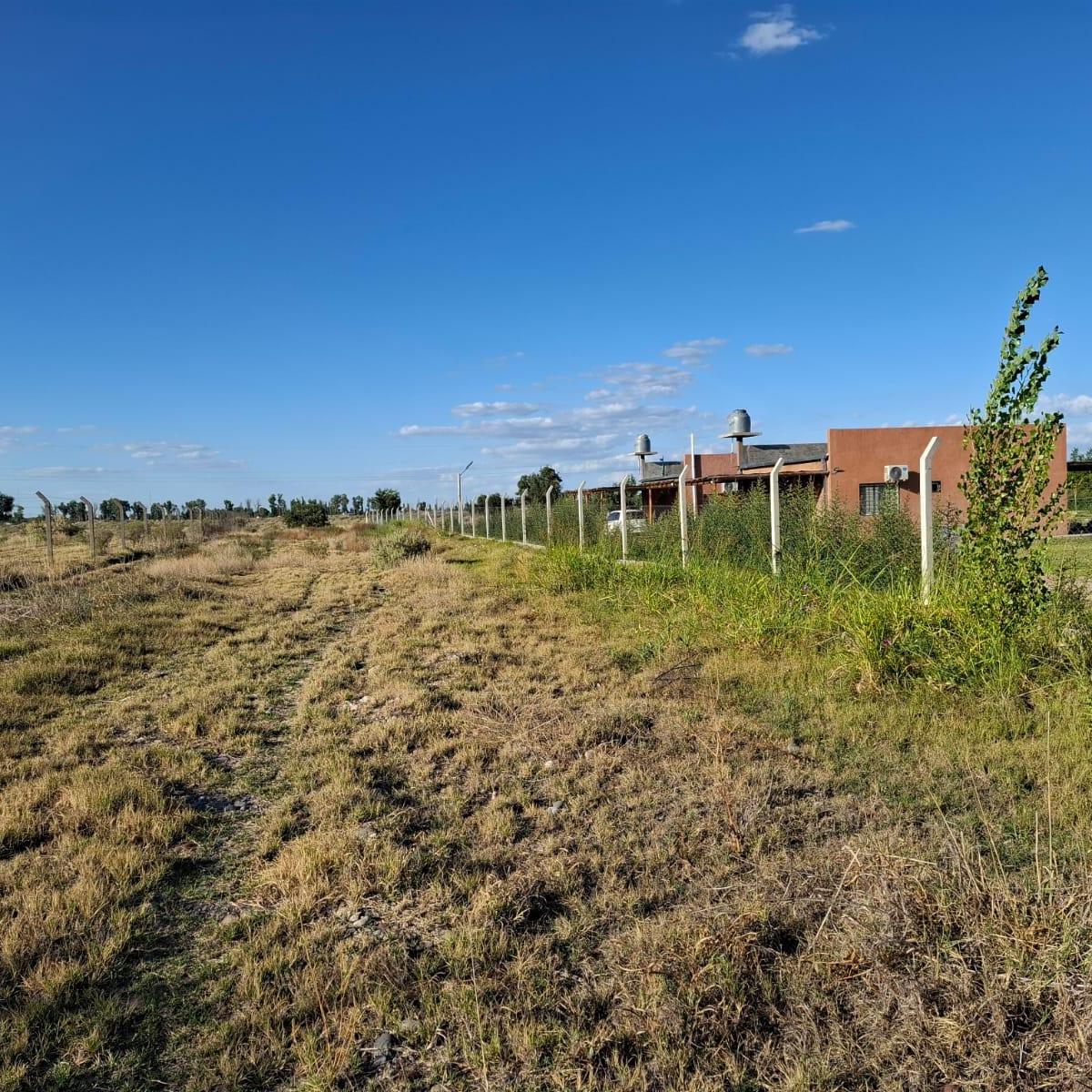 Lote de 1 Ha y 2000 m² Distrito Rama Caída en San Rafael Mendoza 4