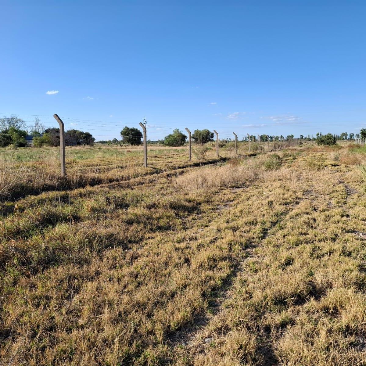 Lote de 1 Ha y 2000 m² Distrito Rama Caída en San Rafael Mendoza 3